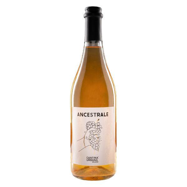 Ancestrale Malvasia