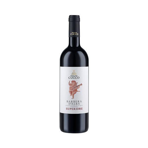 Barbera d'Alba DOC Superiore 2021