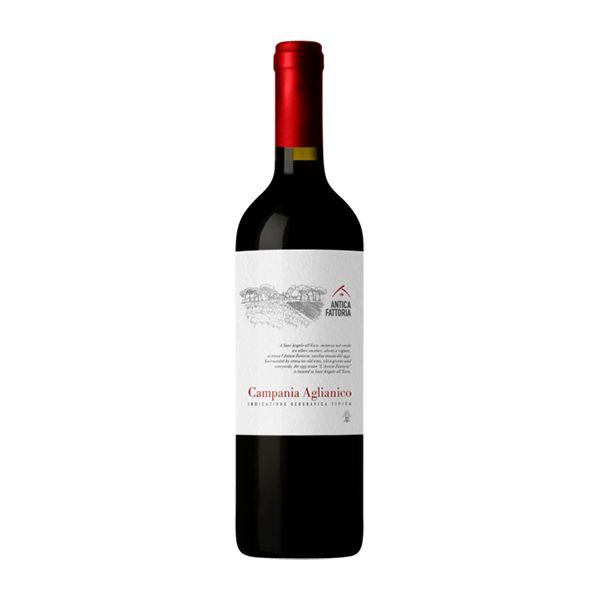 Kampanien IGT Aglianico Antica Fattoria 2022