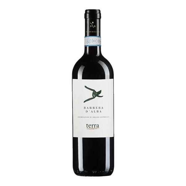 Barbera d'Alba DOC 'Terra' 2022