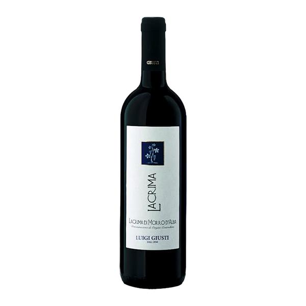 Lacrima di Morro d'Alba DOC BIO 2024