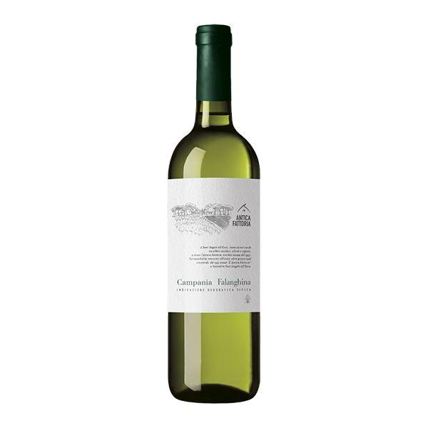 Kampanien IGT Falanghina Antica Fattoria 2024