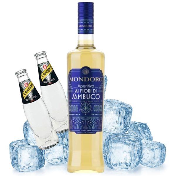 Hugo Spritz Cocktail Kit - für 10 Personen